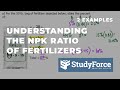 Understanding the NPK Ratio of Fertilizers (With Examples)