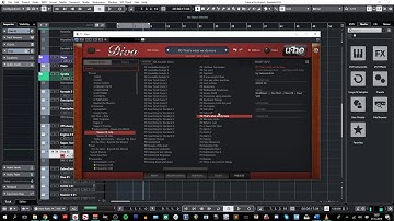 Subsonic Artz  Nexus 49 for Diva Walkthrough