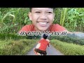 12 mei 2024 vlog farel prayoga ngaretcari rumput di sawah