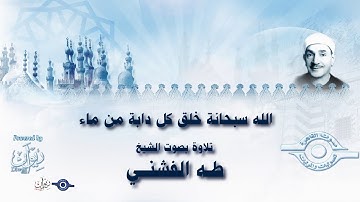 الله سبحانة خلق كل دابة من ماء - تلاوة من سورة النور للشيخ طه الفشني