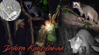 Berburu siluman musang pemakan sempak perawan.‼️