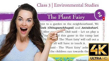 Chapter 2 - The Plant Fairy | Class 3 - Environmental Studies | Hindi Explained