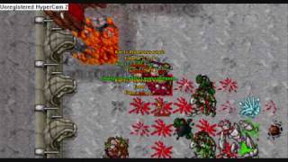 Tibia - Old Times