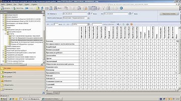 Использование MS SQL Reporting Services на примере отчетов по работе с обращениями граждан
