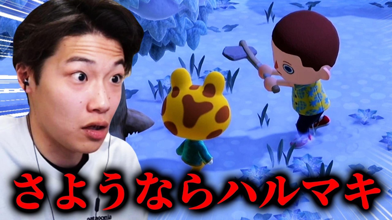 逝ってらっしゃい、ハルマキ。『あつまれ どうぶつの森』#3