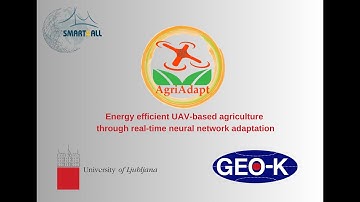 AgriAdapt - Energy efficient UAV-based agriculture through real-time neural network adaptation