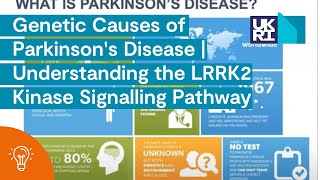 Genetic Causes of Parkinson&#39;s Disease | Understanding the LRRK2 Kinase Signalling Pathway