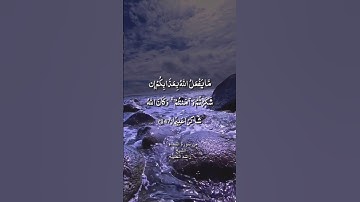 ما يفعل الله بعذابكم إن شكرتم و آمنتم / من سورة النساء / الشيخ راشد الحليبة