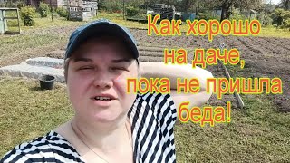 vlog/ Успели посадить картошку 🥔 и всё 🤷‍♀️