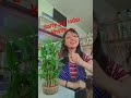 sorry ke do mayne#world's truth talk#viral shots#Madhuri Sharma#Bangalore