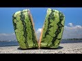 What's inside a Square Watermelon?