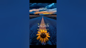 سورة التوبة #quran #دويتو #دعاء #لايك #صباحالخير #تيك_توك #دعاءمستجاب #duet #حالاتواتس #حالات_واتس