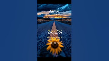 سورة التوبة #quran #دويتو #دعاء #لايك #صباحالخير #تيك_توك #دعاءمستجاب #duet #حالاتواتس #حالات_واتس