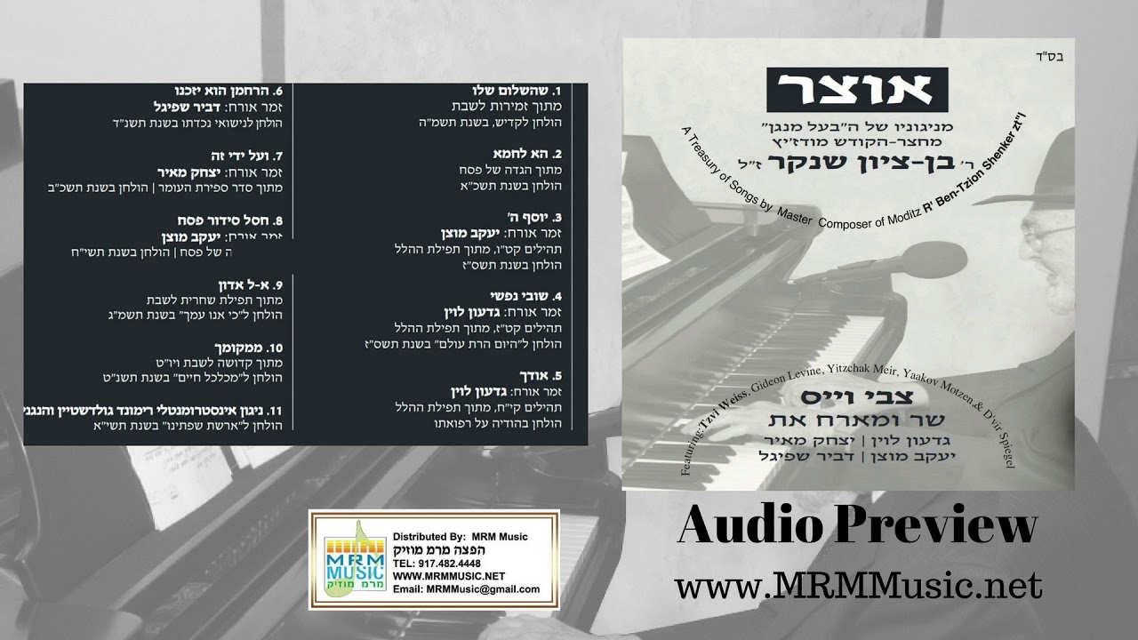 Tzvi Weiss Presents: Otzar M'Nigunei Reb Ben Zion Shenker - Audio Preview