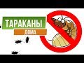 Тараканы Больше НИКОГДА не появятся у вас дома ✔️ Лучшие средства от насекомых