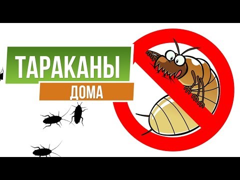Видео: Тараканы Больше НИКОГДА не появятся у вас дома ✔️ Лучшие средства от насекомых