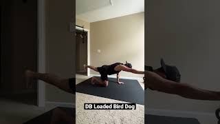 Dumbbell Loaded Bird Dog