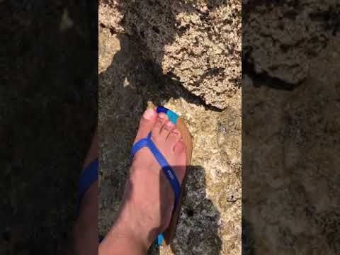 محمية وادي الجمال البحر الاحمر برانيس