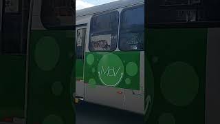 MOV FRANCA - 31364