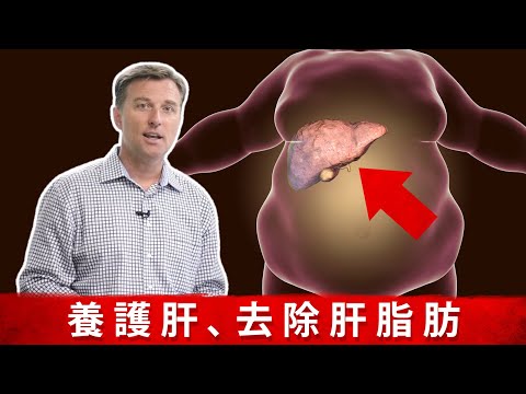 肝1.修復脂肪肝,什麼症狀? 對肝最好食物. 柏格醫生Dr Berg