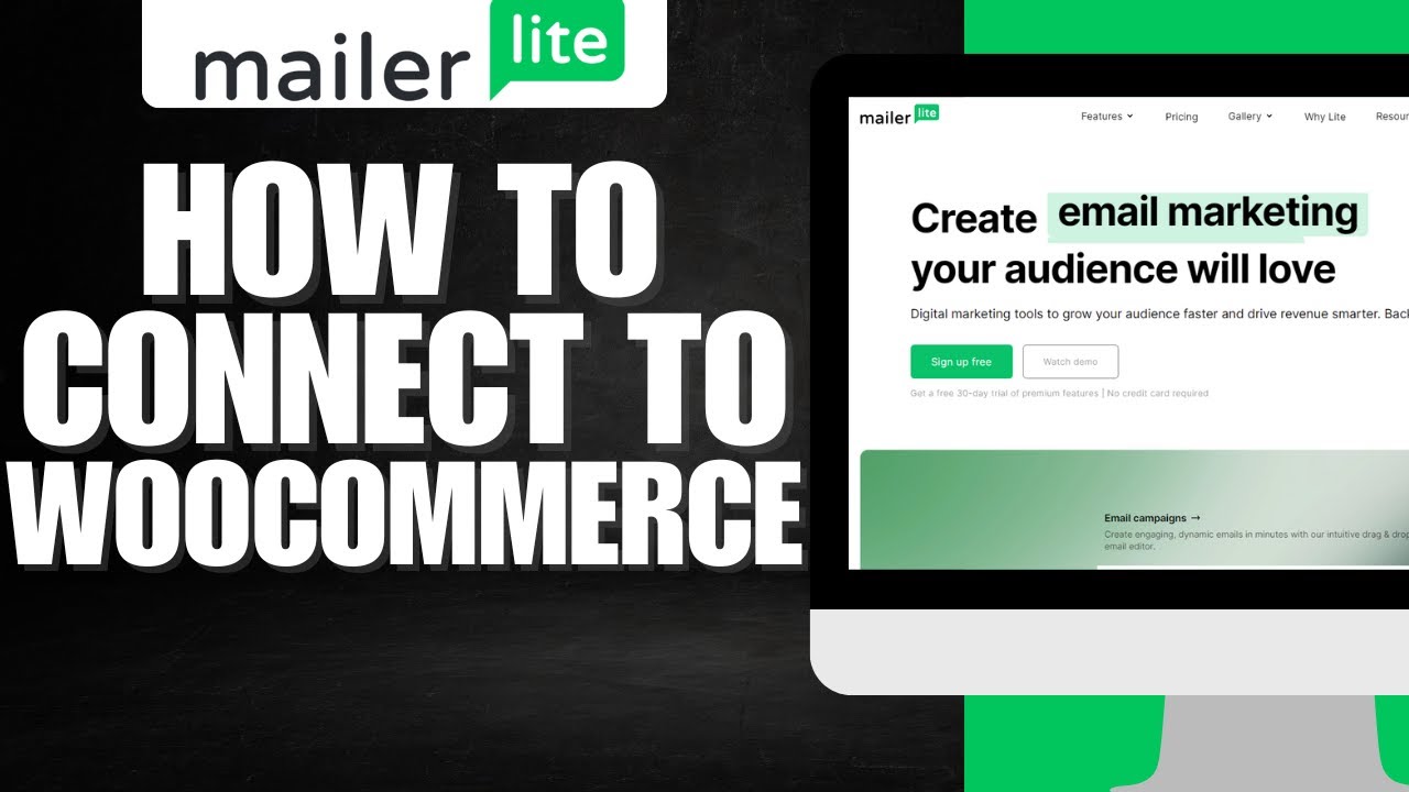 How To Connect Mailerlite To (Easy) YouTube