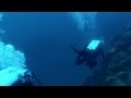 BUCEO EN LA PROA DEL SIRIO: "LA CATEDRAL" _ (HD)