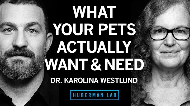 What Pets Actually Want & Need | Dr. Karolina Westlund thumbnail