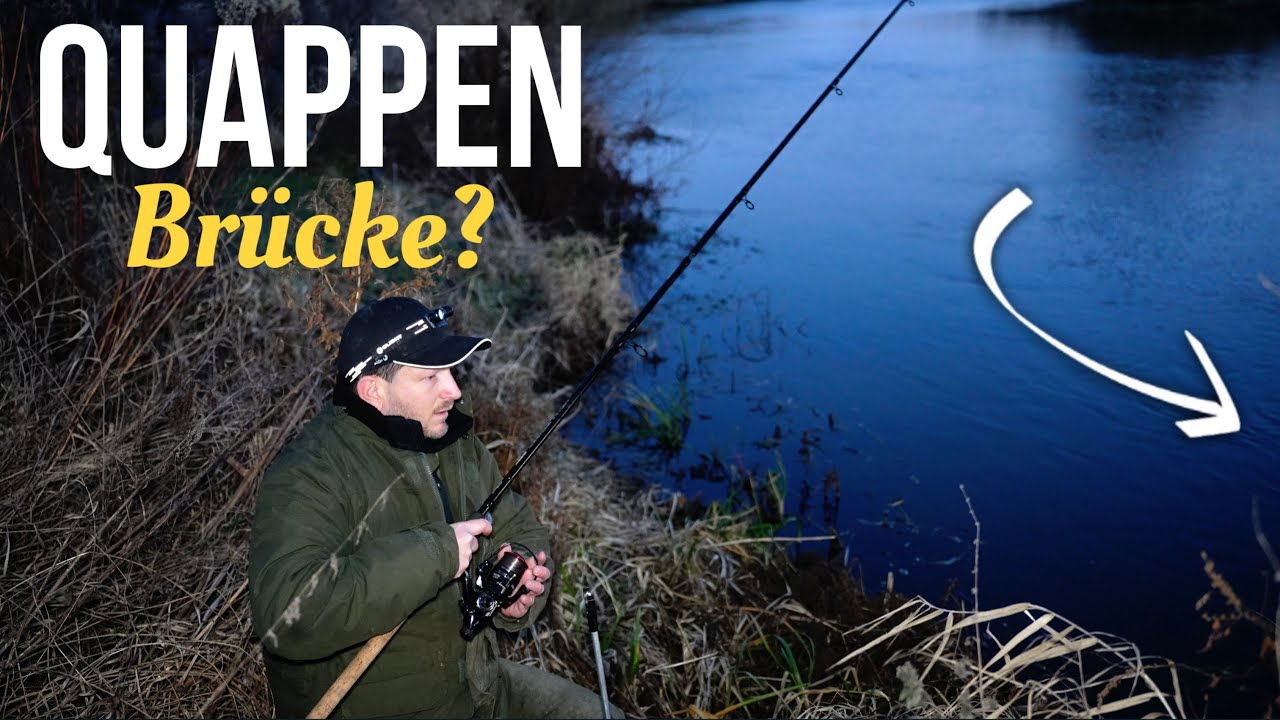 Quappen angeln unter der Brücke. Kommt das Hochwasser Fressen?