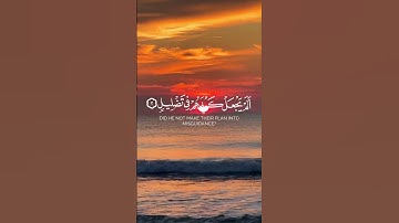 سورة الفيل كاملة #اسلاميات #قرآن #راحة_نفسية #ايات_قرانيه_قصيره #حالات_واتس #آيات #اكسبلور #سورة