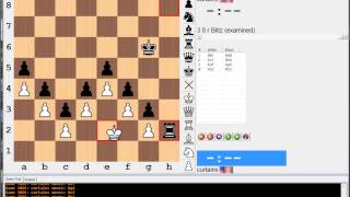 Amazing Endgame Study