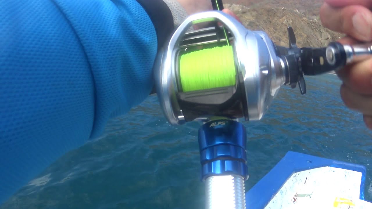 shimano tranx 400 & Okuma nomad travel NT-C703UL drifting live bait for rooster fish .