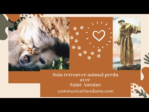 Soin Retrouver Animal Perdu