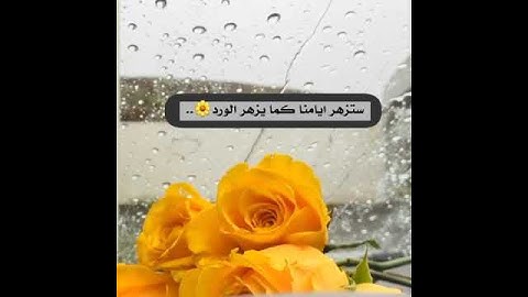 قران كريم بصوت القارئ: ماهر المعيقلي 💛 أجمل حالات واتس اب دينية تلاوةهادئة تريح النفس ارح سمعك وقلبك