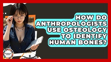 How Do Anthropologists Use Osteology To Identify Human Bones? - Anthropology Insights