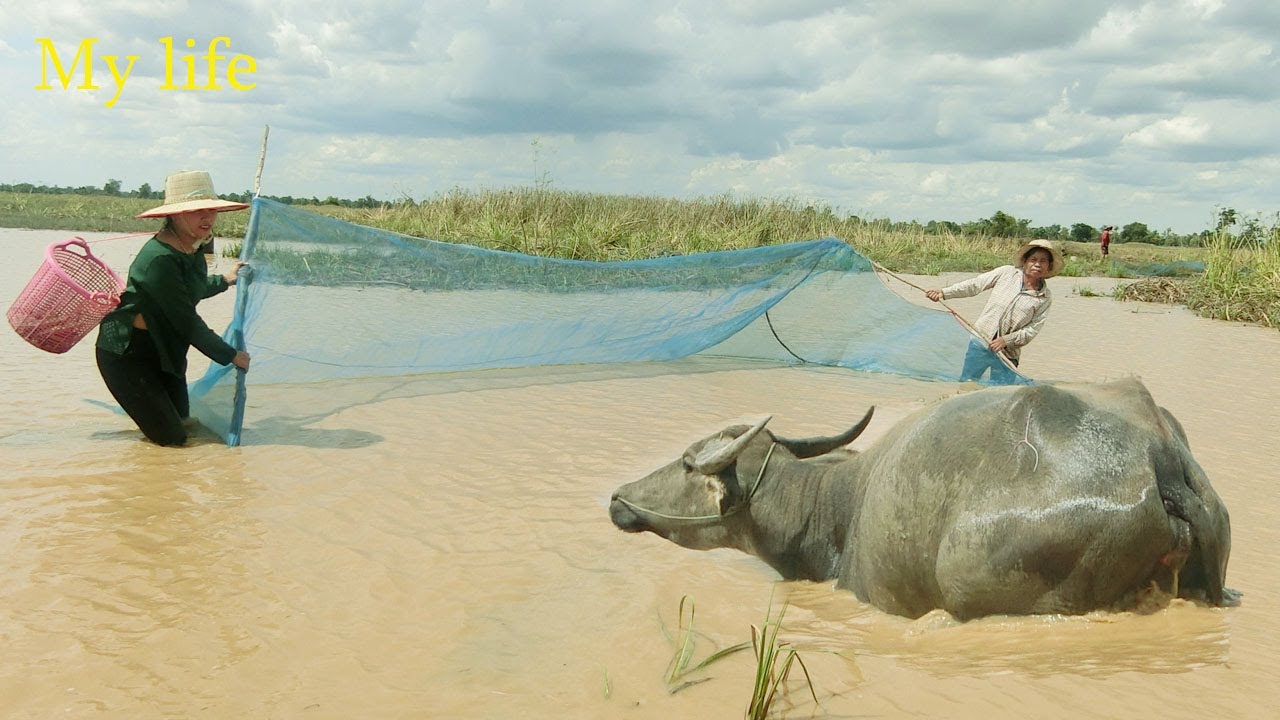 Best Hand Fishing - Amazing Catching A Lot Of Big Fish Using Strange ...