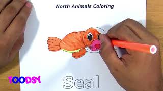 How to Color Baby Seal In Arctic Animals Coloring Page