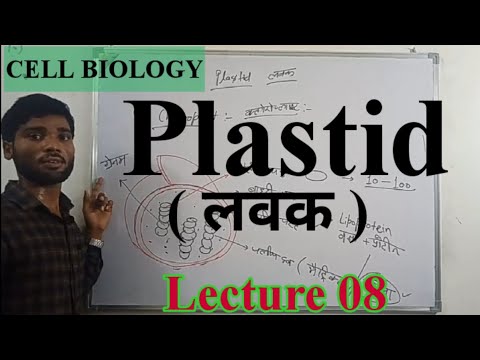 Biology ( Plastid) lecture 8  Biology  by Manish prajapati