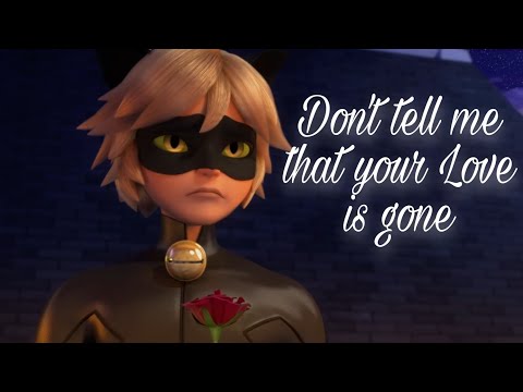 Love is gone (Ladynoir)AMV