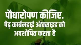 10 simple ways to make a #beautiful & #healthy Environment..💗@nvn_sumit