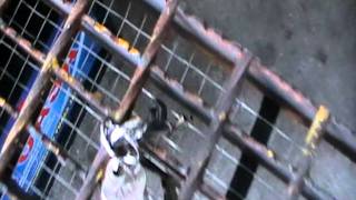 Wire Mesh Grating Test - 1.MOD
