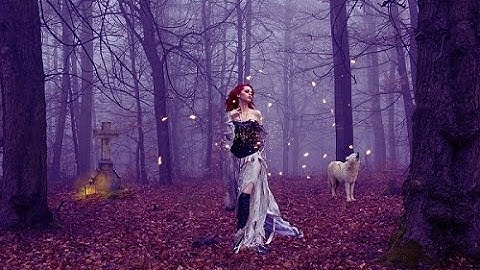 forest Photoshop manipulation [Hindi-Urdu]