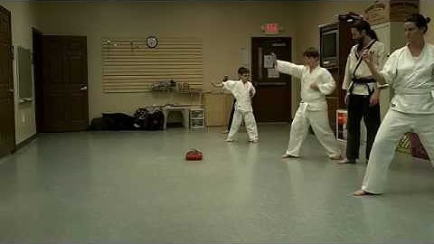 Tang Soo Do: qualities of yuk jin kyong kyuck, reverse punch