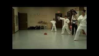 Tang Soo Do: qualities of yuk jin kyong kyuck, reverse punch