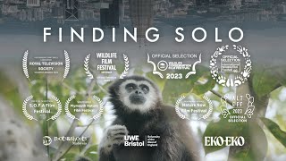 Finding Solo - The Last Gibbon in Kuala Lumpur