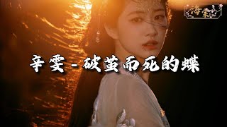 辛雯 - 破茧而死的蝶『我像破茧的蝶，死在最明媚那天(最爱你那天)。』【动态歌词MV】