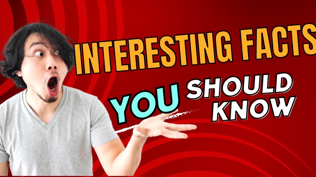 Amazing Animal Facts That Will Blow You Mind |Nifty Mind| #new #facts # ...