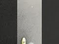 walk loop 2