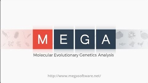 Phylogenetic Analysis using MEGA X