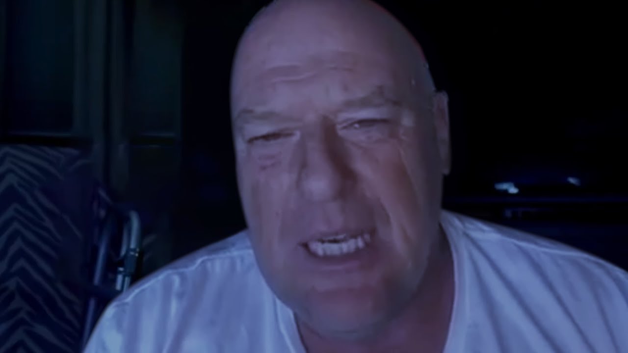 Hank Schrader from breaking bad calls walter white a sussy baka