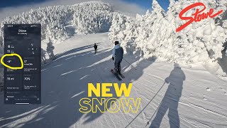 Stowe Vermont - BYPASS and NOSEDIVE GLADES - 4K - Steeps and Trees